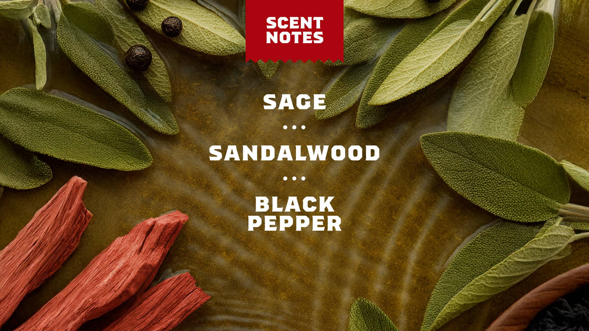Scent notes graphic used on Dr. Squatch product pages
