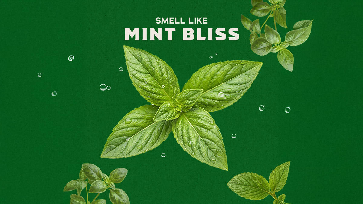 Classic Spearmint Basil